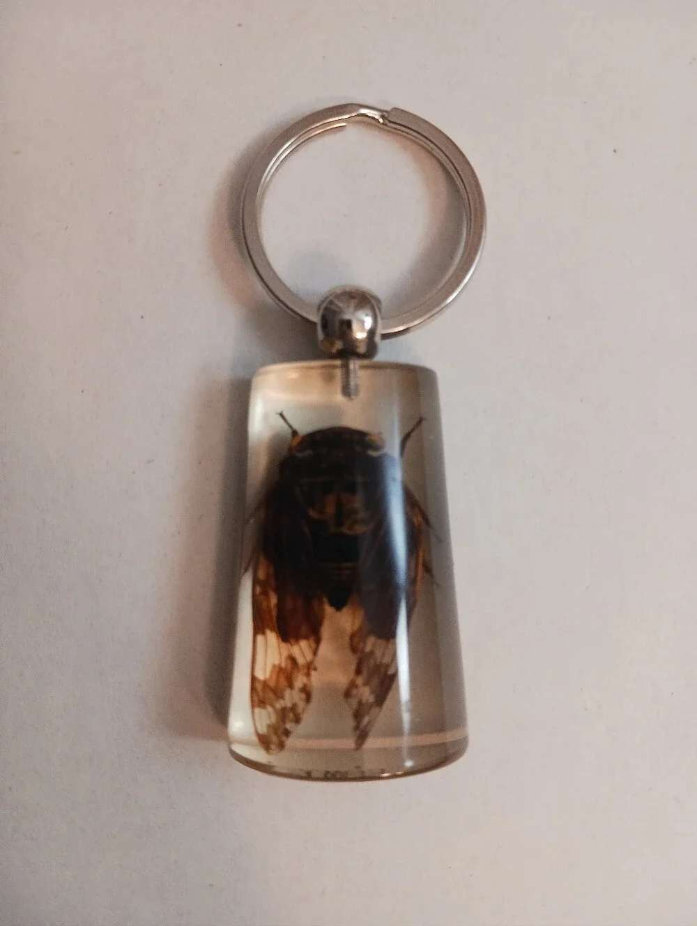 Two's Company Big Bug Keychain , Resin 1.75in Fob , 3in Total